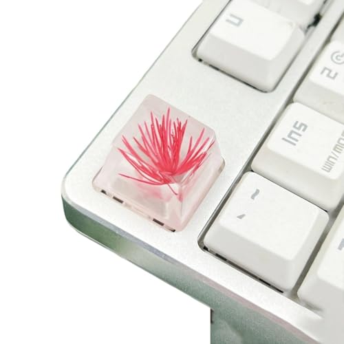 Pinienblüten-Harz-Tastenkappe für mechanische Tastaturen, bietet einzigartige visuelle Attraktivität ESC-Tastenkappe, 1 Stück Pinienblüten-Harz-Tastenkappe für mechanische Tastaturen, bietet einzigartige visuelle Attraktivität ESC-Tastenkappe, 1 Stück von MARCBUSE