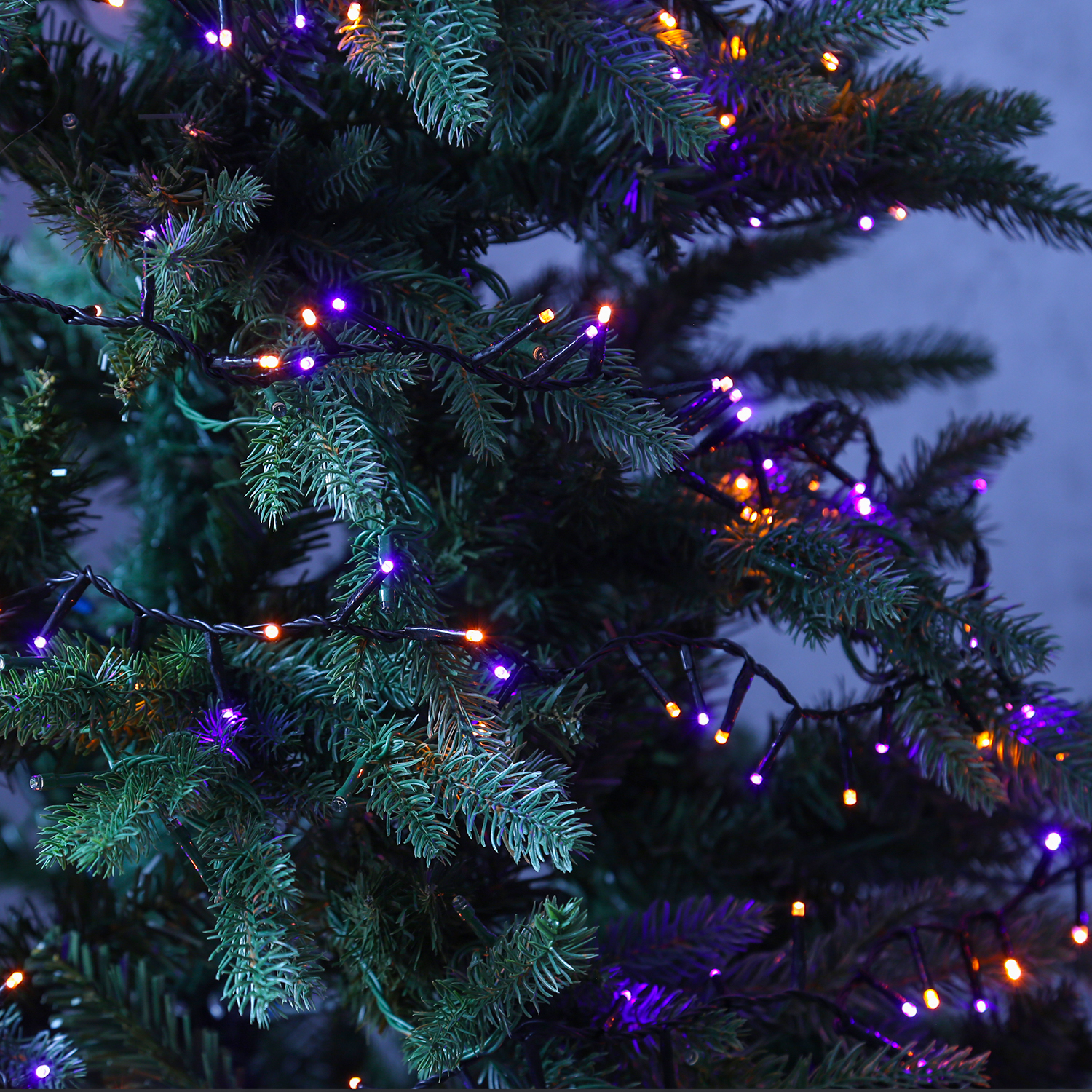 LED Lichterkette Compact Twinkle - 750 lila-/orange LED - L: 16m - 8 Funktionen - Timer - Außentrafo von MARELIDA