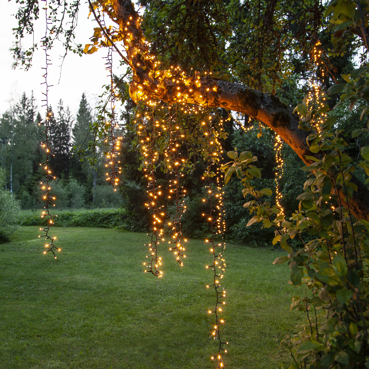 LED Lichterkette - GOLDEN LED Serie - 540 ultra warmweiße LED - L: 10,8m - schwarzes Kabel - f.Außen von MARELIDA