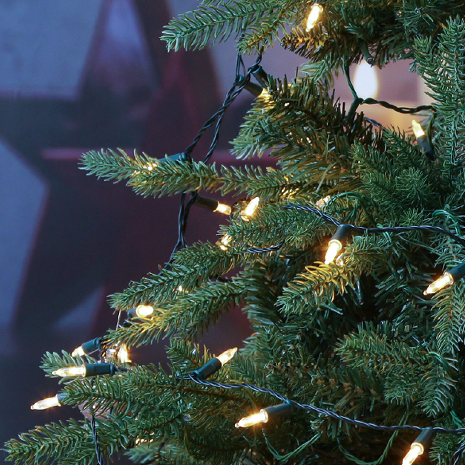 LED Lichterkette Pisello - Weihnachtslichterkette - 20 warmweiße LED - 8 Funkt. - L: 1,9m - Batterie LED Lichterkette Pisello - Weihnachtslichterkette - 20 warmweiße LED - 8 Funkt. - L: 1,9m - Batterie von MARELIDA