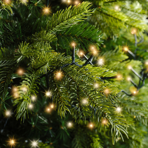 LED Lichterkette Twinkle - Weihnachtslichterkette XXL - 3000LED - L... LED Lichterkette Twinkle - Weihnachtslichterkette XXL - 3000LED - L... von MARELIDA