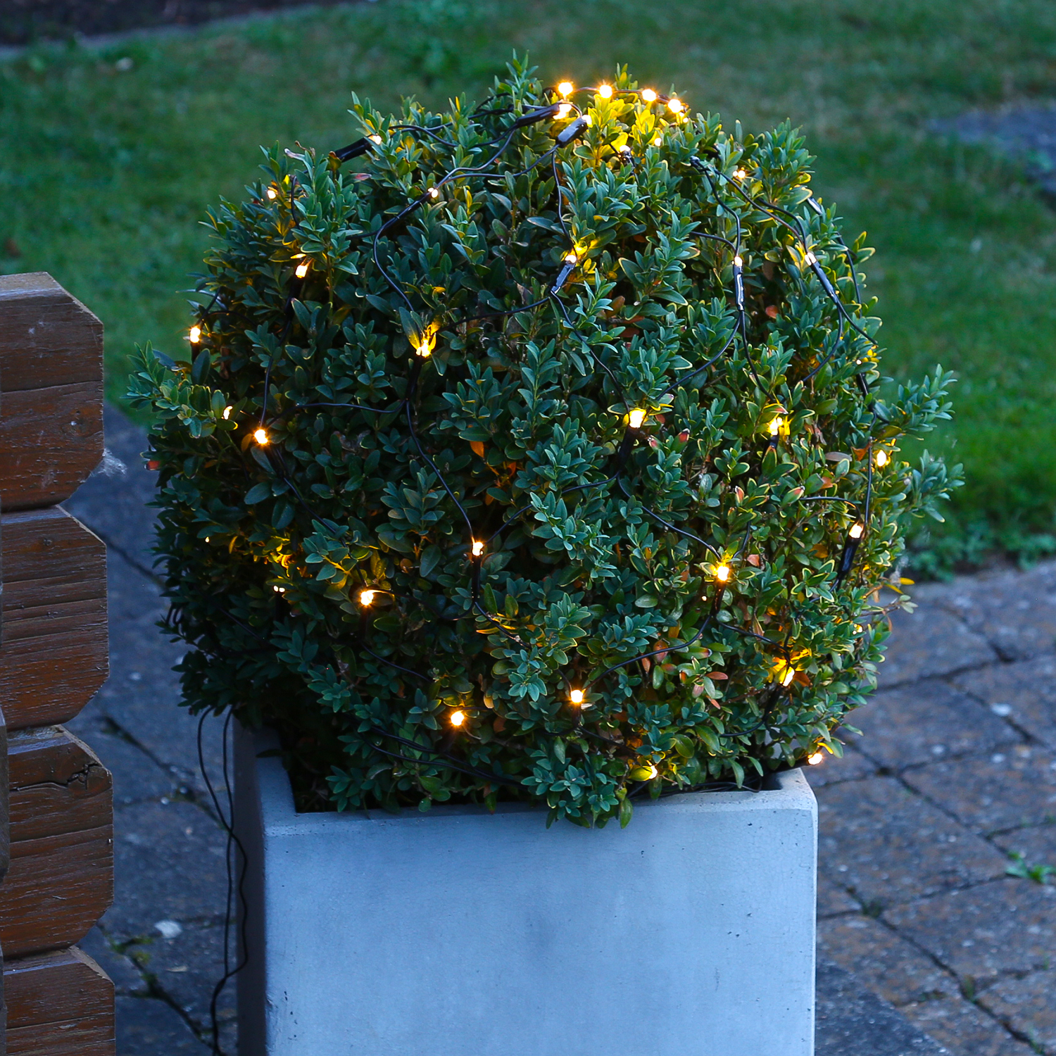 LED Lichternetz für Buchsbaum - Kugelnetz - 120 warmweiße LED - 24V Außentrafo - D: 80cm - grün von MARELIDA