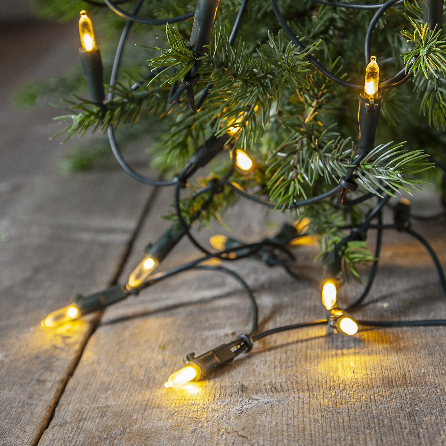 LED Lichterkette Pisello - Weihnachtslichterkette - 20 warmweiße LED - L: 2,85m - für Innen LED Lichterkette Pisello - Weihnachtslichterkette - 20 warmweiße LED - L: 2,85m - für Innen von MARELIDA