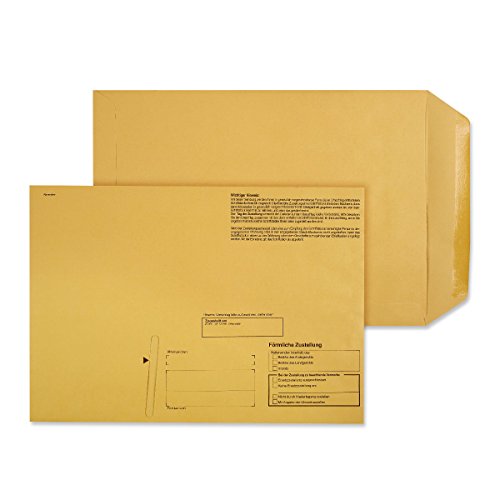100 x Innere Postzustellungs-Hüllen Förmliche Zustellung 229x324 mm Postzustellungshüllen 8490020 von MASHPAPER