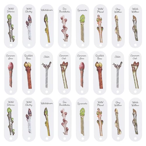 MAYJOYDIY 24 Stück Ovale Geschenkanhänger Aus Papier Mit Pflanzenknospenmuster 10×3cm Wildpflaume Bergahorn Weißes Papier Hängeetiketten Für Hochzeitsfeiern Geschenke Scrapbook Gläser (12 Stile) MAYJOYDIY 24 Stück Ovale Geschenkanhänger Aus Papier Mit Pflanzenknospenmuster 10×3cm Wildpflaume Bergahorn Weißes Papier Hängeetiketten Für Hochzeitsfeiern Geschenke Scrapbook Gläser (12 Stile) von MAYJOYDIY