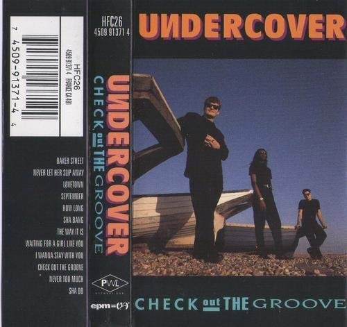 Check Out the Groove [CASSETTE] (UK Import) [Musikkassette] von MC