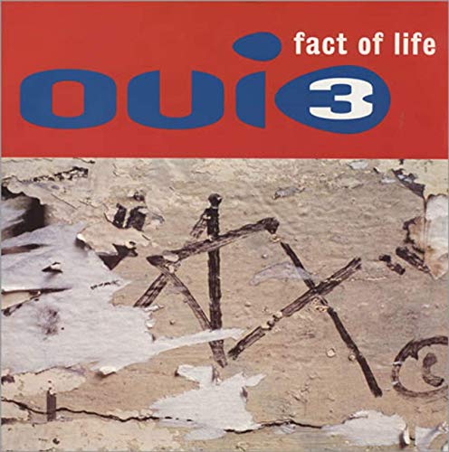Fact of life (incl. 3 versions, 1993) [Vinyl Single] von MCA