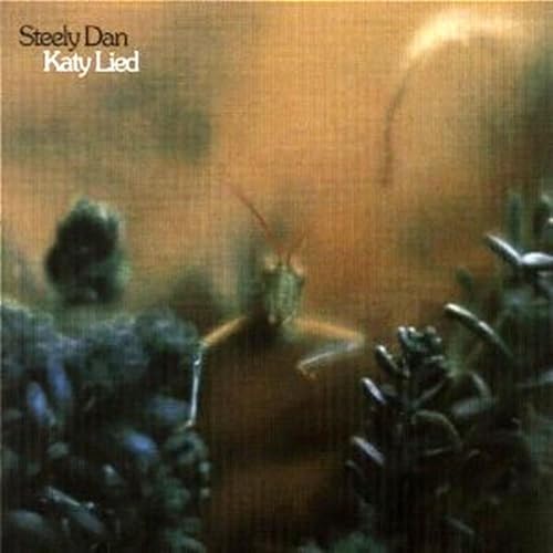 Katy Lied von MCA