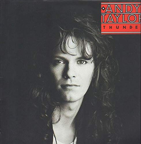 Thunder (1987) [Vinyl LP] von MCA