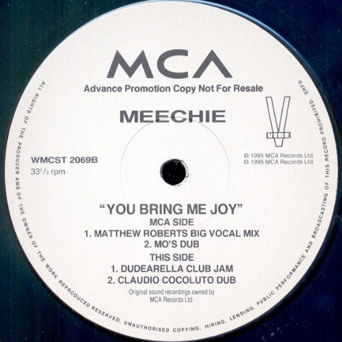 You Bring Me Joy [12 [Vinyl LP] von MCA