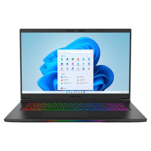 MEDION ERAZER Beast X25 43,9 cm (17,3 Zoll 165Hz) QHD Gaming Notebook (AMD Ryzen 9 5900HX, 64GB DDR4 RAM, 2TB PCIe SSD, NVIDIA GeForce RTX 3080 16 GB GDDR6 VRAM, Win 11 Home) von MEDION