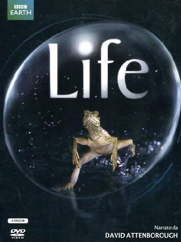Life [5 DVDs] [IT Import] von MEDUSA FILM SPA