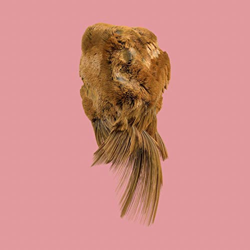 Values [Vinyl LP] von Melodic Records