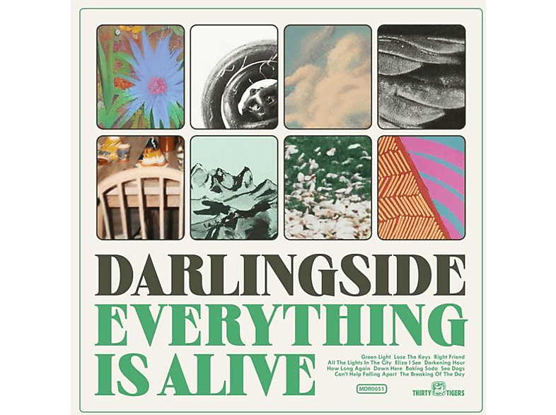 Darlingside - EVERYTHING IS ALIVE (CD) von MEMBRAN