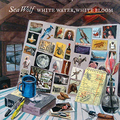 White Water, White Bloom [Vinyl LP] von membran