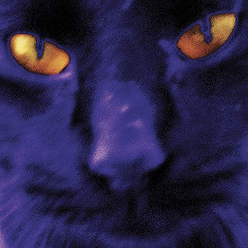 Bobbie'S a Girl [Vinyl LP] von MERGE RECORDS