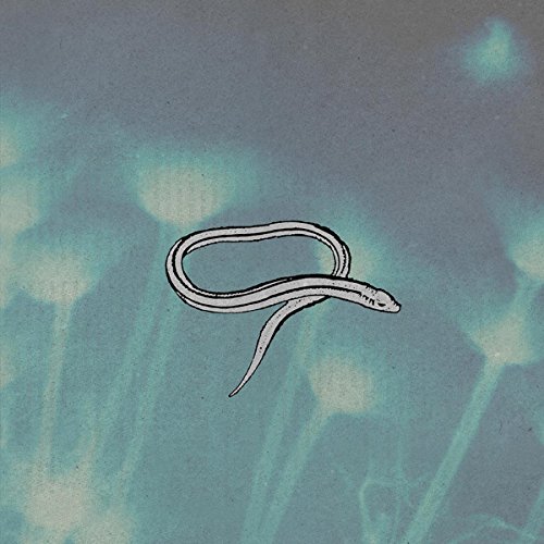 Bring on the Snakes (Reissue) [Vinyl LP] von MERGE RECORDS