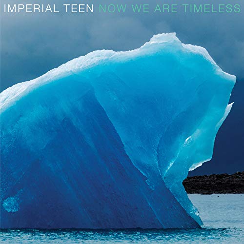 Now We Are Timeless [Vinyl LP] von MERGE RECORDS