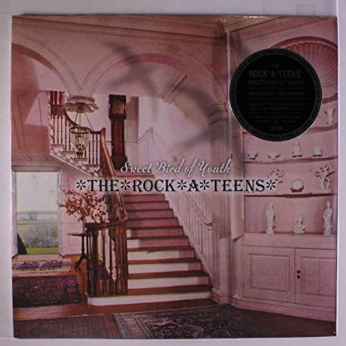 Sweet Bird of Youth [Vinyl LP] von MERGE RECORDS