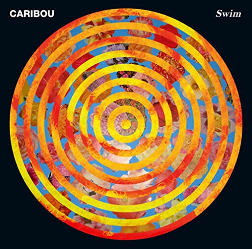 Swim [Vinyl LP] von MERGE RECORDS