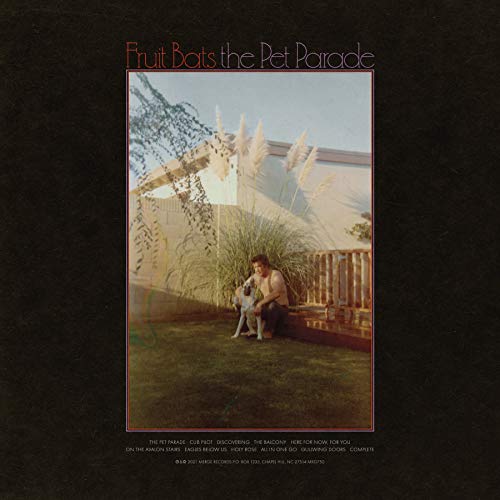 The Pet Parade [Vinyl LP] von MERGE RECORDS