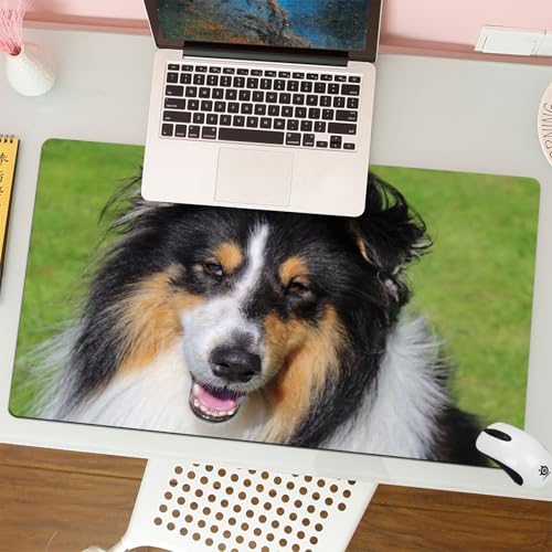 MESHIZIY Mauspad (400 × 750 MM) Verlängertes großes Mauspad Schreibtischauflage, rutschfeste Gummibasis, Gaming-Mauspad XLNahaufnahme eines dreifarbigen Rough Collie von MESHIZIY