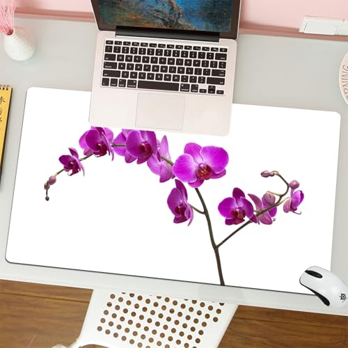 MESHIZIY Mauspad (400 × 750 MM) Verlängertes großes Mauspad Schreibtischauflage, rutschfeste Gummibasis, Gaming-Mauspad XLÜppige Blüte der Magenta Phalaenopsis Orchidee isoliert auf weiß von MESHIZIY