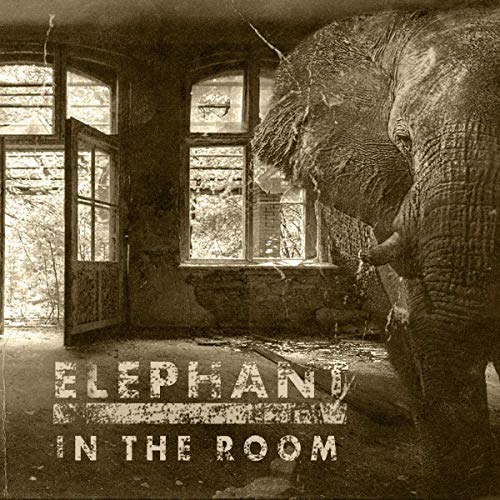 Elephant in the Room [Vinyl LP] von METALVILLE