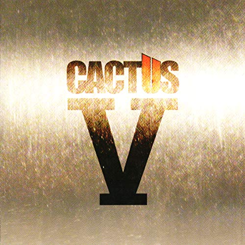 V (Digipak) von METALVILLE