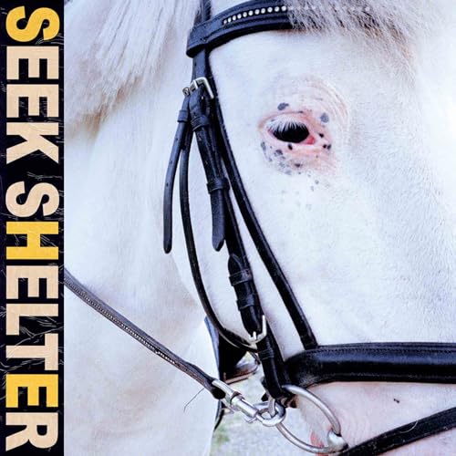 Seek Shelter [Vinyl LP] von MEXICAN SUMMER