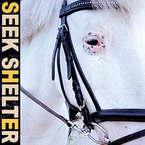 Seek Shelter [Vinyl LP] von MEXICAN SUMMER