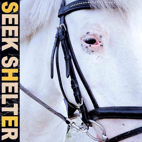 Seek Shelter von MEXICAN SUMMER