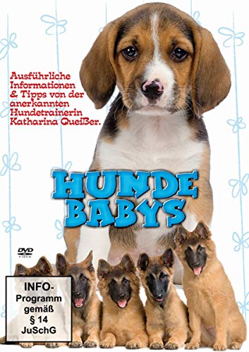 Hundebabys von MIB