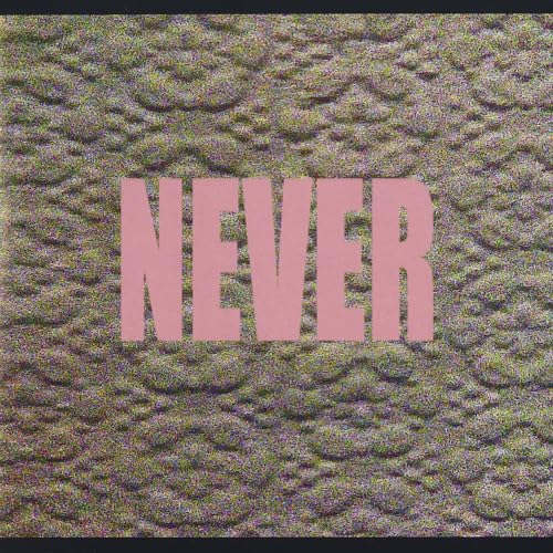 Never [Vinyl LP] von Rough Trade