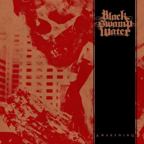 The Awakening [Vinyl LP] von Spv