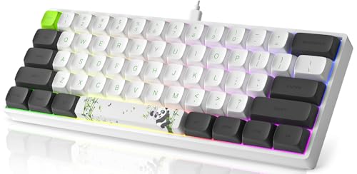 MIHIYIRY Mechanische Gaming-Tastatur, 60 % kompakte mechanische Tastatur, 61 Tasten Wired USB-C RGB mechanische Gaming-Tastatur, Backlit roter Schalter Tastatur nur für PC Windows / Mac OS von MIHIYIRY