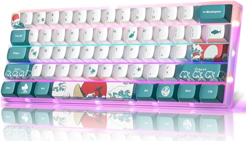 MIHIYIRY Mechanische Gaming-Tastatur 60 % mit roten Schaltern 61 Tasten mechanische Tastatur RGB Backlit, Compact Mini USB Wired Tastatur für WIN/Mac/PC/PS5 von MIHIYIRY