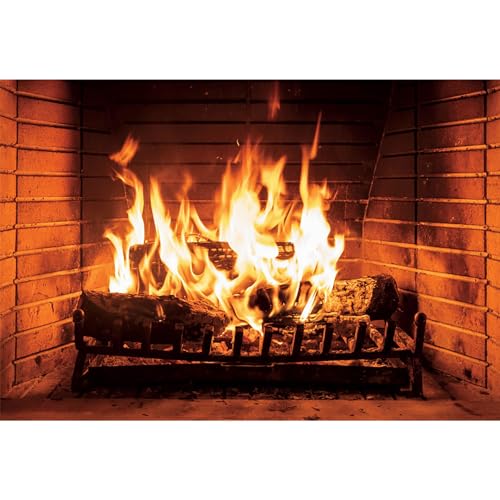 MIRRORANG 1,5x1m Brennendes Brennholz Hintergrund Glühende Flamme Kamin Fotografie Hintergrund zum Kinder Kinder Familie Grillen Weihnachten Party Banner Porträt Foto Verkaufsstand Requisiten, Vinyl MIRRORANG 1,5x1m Brennendes Brennholz Hintergrund Glühende Flamme Kamin Fotografie Hintergrund zum Kinder Kinder Familie Grillen Weihnachten Party Banner Porträt Foto Verkaufsstand Requisiten, Vinyl von MIRRORANG