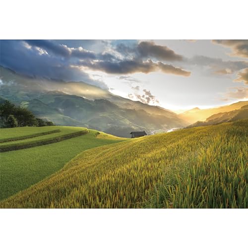 MIRRORANG 2,5x1,8m Natürliche Landschaft Hintergrund Wald Blick auf Berge Wiese Landschaft Fotografie Hintergrund Ländliches Leben Ferien Tourismus Foto Studio Requisiten Hintergrund, Vinyl MIRRORANG 2,5x1,8m Natürliche Landschaft Hintergrund Wald Blick auf Berge Wiese Landschaft Fotografie Hintergrund Ländliches Leben Ferien Tourismus Foto Studio Requisiten Hintergrund, Vinyl von MIRRORANG