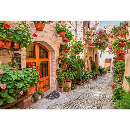 MIRRORANG 3,5x2,5m Italien Alte Gasse Kulisse Europäische Kleinstadt Schmale Straße Stein Straße Frühling Blüte Fotografie Hintergrund Dorf Gebäude Reisen Hochzeit Fotostudio Requisiten, Vinyl von MIRRORANG