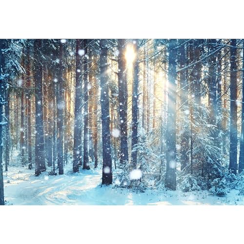MIRRORANG 3x2,5m Winter Wald Hintergrund Winterlandschaft Es schneit Sonnenschein Halo Weihnachten Hintergrund für Fotografie Neujahr Dekor Weihnachten Foto Krippe Ostern Dekoration, Vinyl MIRRORANG 3x2,5m Winter Wald Hintergrund Winterlandschaft Es schneit Sonnenschein Halo Weihnachten Hintergrund für Fotografie Neujahr Dekor Weihnachten Foto Krippe Ostern Dekoration, Vinyl von MIRRORANG