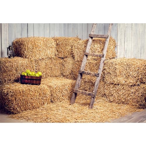 MIRRORANG 3x2m Bauernhof Heuhaufen Hintergrund Herbst Ernte Stroh Bun Haybag Scheune Grün Apfel Land Thema Party Hintergrund Dekoration, Vinyl MIRRORANG 3x2m Bauernhof Heuhaufen Hintergrund Herbst Ernte Stroh Bun Haybag Scheune Grün Apfel Land Thema Party Hintergrund Dekoration, Vinyl von MIRRORANG