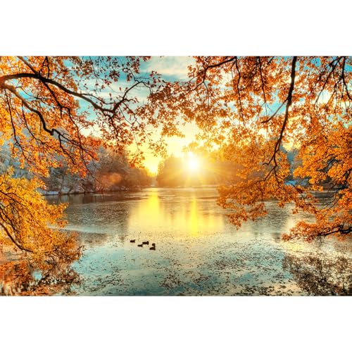 MIRRORANG 3x2m Fallen Hintergrund Herbstlandschaft Ahorn Blatt Fallen Park Landschaft Sunset Natur Landschaft Hintergrund für Fotografie Urlaub Ferien Foto Hintergrund, Vinyl von MIRRORANG