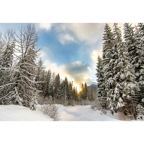 MIRRORANG 3x2m Schnee Winter Fotografie Hintergrund Kiefer Wald Wunderland Hintergrund Neugeborenes Baby Dusche Weihnachten Neujahr Party Dekoration Banner, Vinyl von MIRRORANG