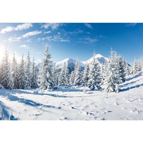 MIRRORANG 4,5x3m Winter Wald Landschaft Hintergrund Outdoor Schnee Szene Kiefer Gefrorene Wand Dekor Hintergrund für Fotografie Weihnachten Foto Hintergrund, Vinyl von MIRRORANG