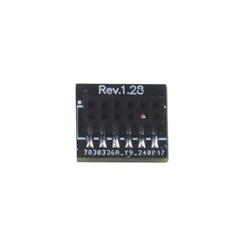 MLWSKERTY TPM 2.0 Sicherheitsmodul 12 Pin SPI Interfaces Verschlüsselungssicherheitskarte Für Motherboards von MLWSKERTY