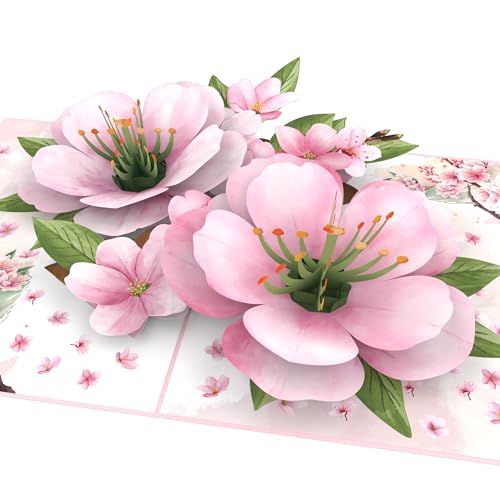 MOKIO® Pop-Up Blumenkarte – Japanische Kirschblüten – 3D Geschenkkarte zum Geburtstag, als Gutschein oder zur Genesung, Sakura Baum Blumen Karte von MOKIO
