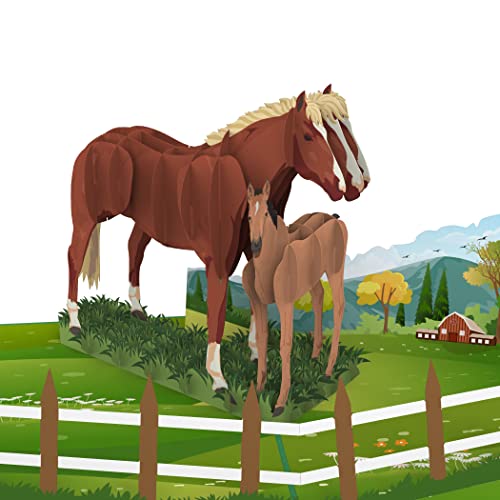 MOKIO® Pop-Up Karte – Pferd mit Fohlen – 3D Geschenkkarte für Pferdeliebhaber zum Geburtstag, als Gutschein für Reitstunden oder für Geldgeschenke, Glückwunschkarte mit Pferdemotiv von MOKIO