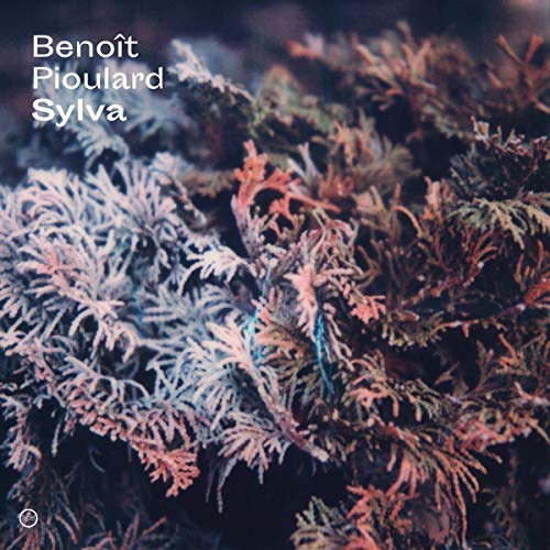 Sylva [Vinyl LP] von MORR MUSIC