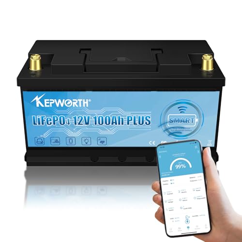 Bluetooth Lifepo4 Akku 12V 100Ah Autobatterie mit BMS Ersetzt AGM oder Gel Aufbau Batterie für Wohnmobil, Boot, Camping oder Solaranlage von MOSEWORTH